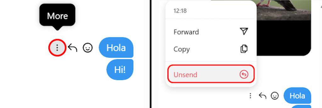 ওয়েবে একটি ইনস্টাগ্রাম বার্তা পাঠান না
