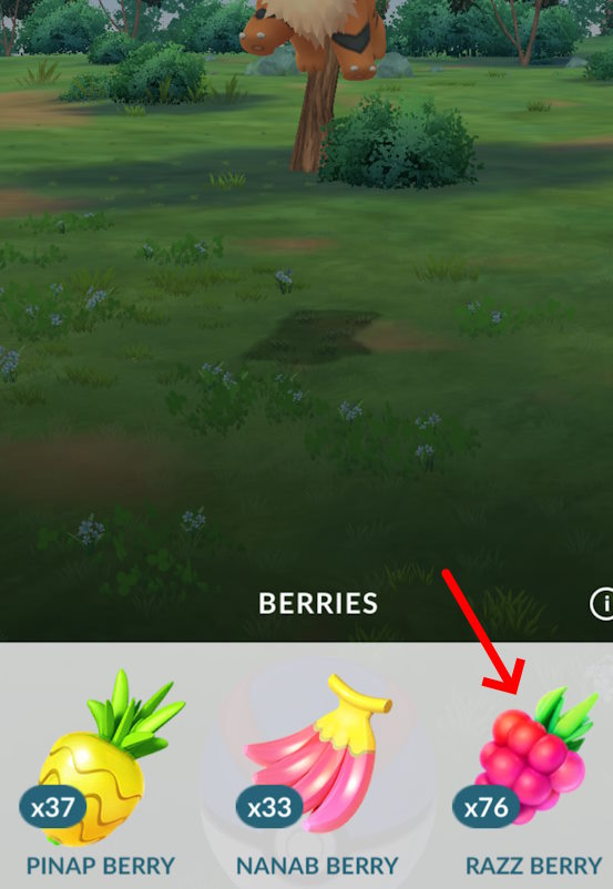 Use Nanab Berry as it increases the chances of catching a Pokemon in Pokemon GO