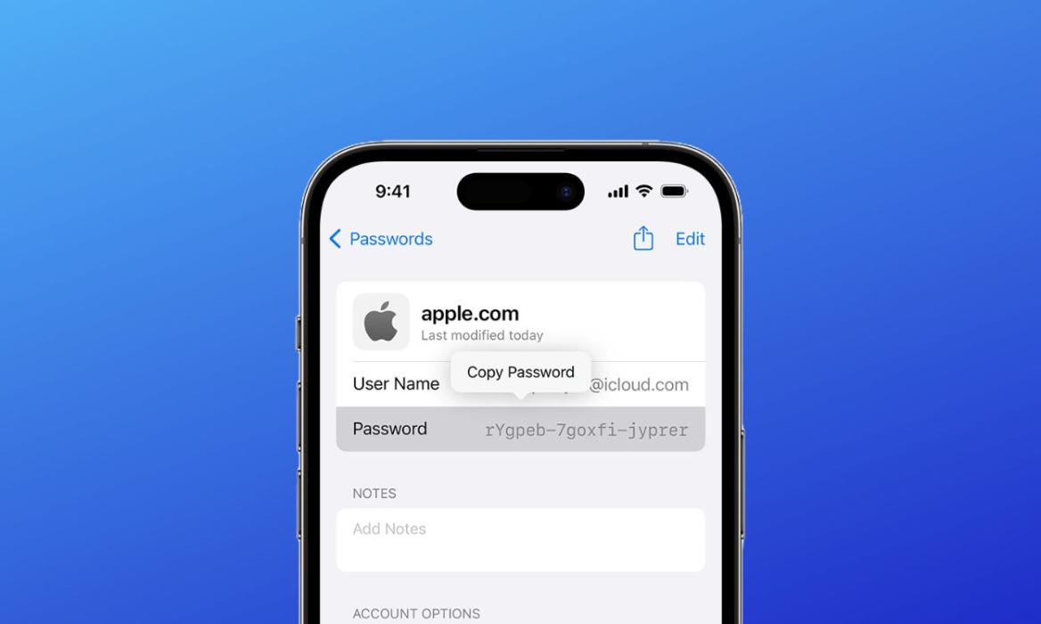 iOS 18 Password App