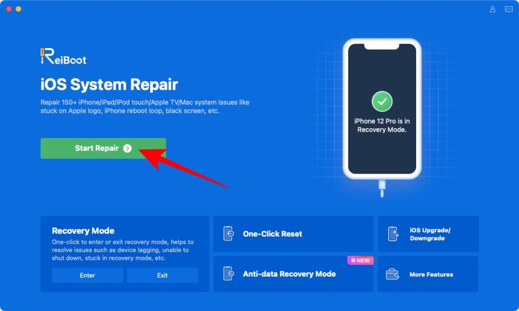 Repair iPhone using Tenorshare Reiboot