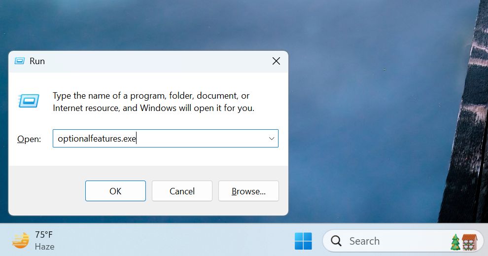 open optionalfeatures from the Run window
