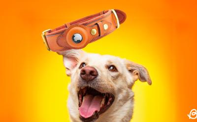 AirTag Dog Collar Good Explained