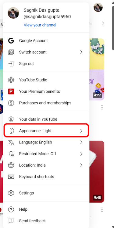 Appearance panel on YouTube Web Version