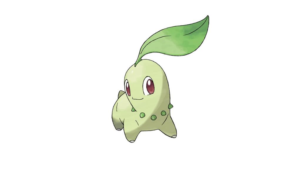 Chikorita Pokemon