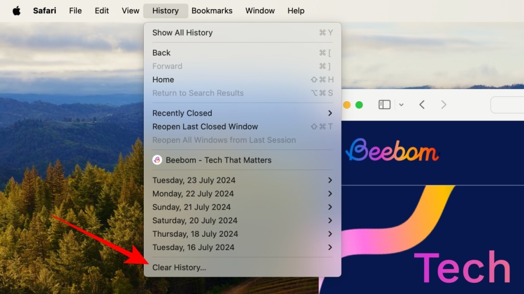 Clear Safari History Mac