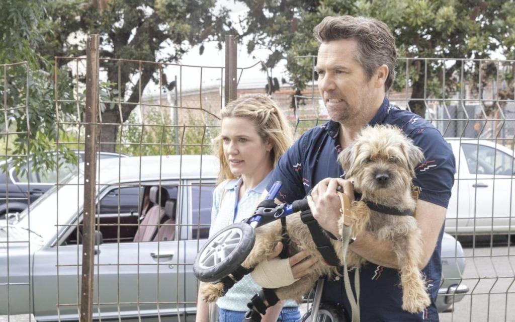 10 Best TV Shows on Paramount Plus You Shouldn't Miss in 2024 | Beebom