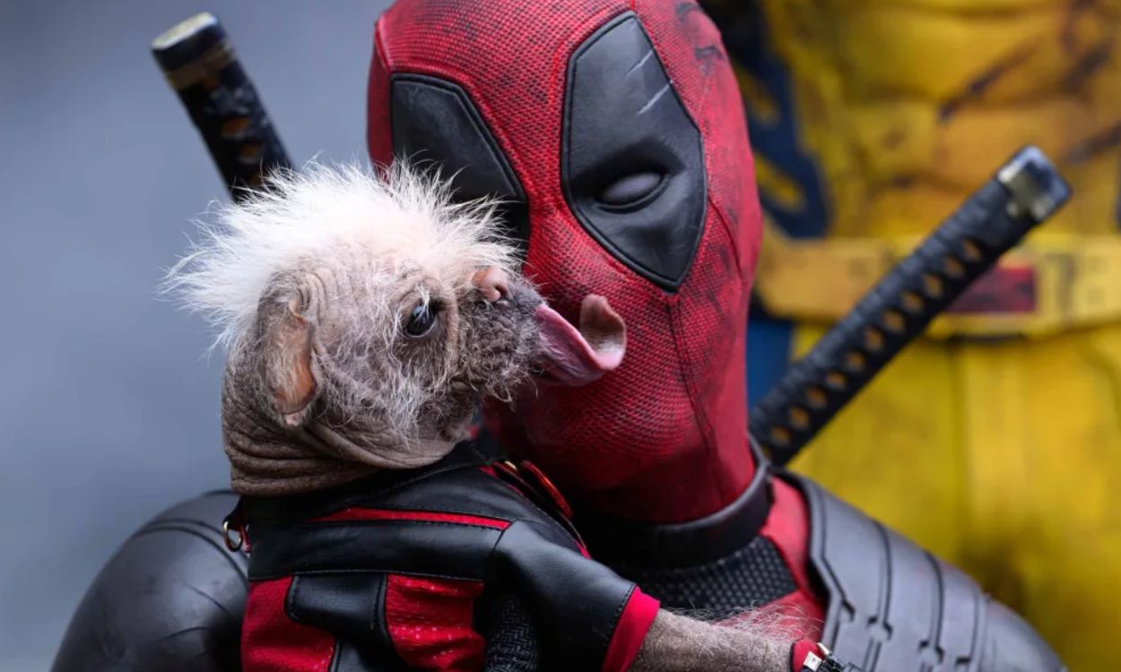 dog in deadpool 3 breed