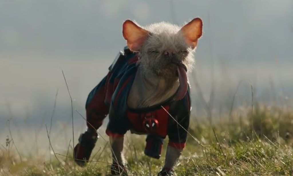 Dogpool in Deadpool 3