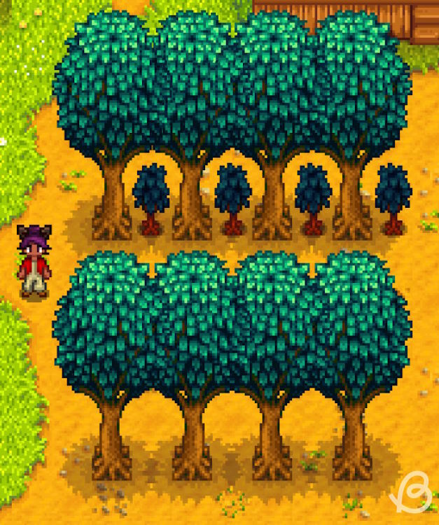 Oak Trees Stardew Valley