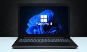 How to Set Up Windows 11 Without a Microsoft Account
