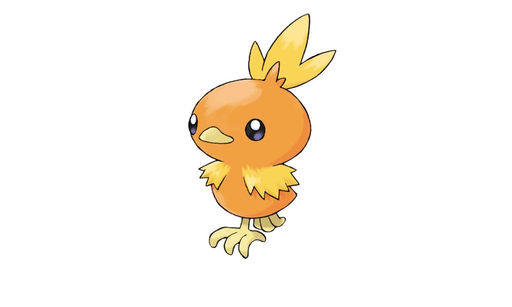 Torchic