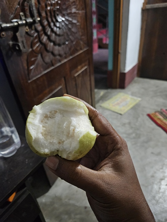 a guava in hand