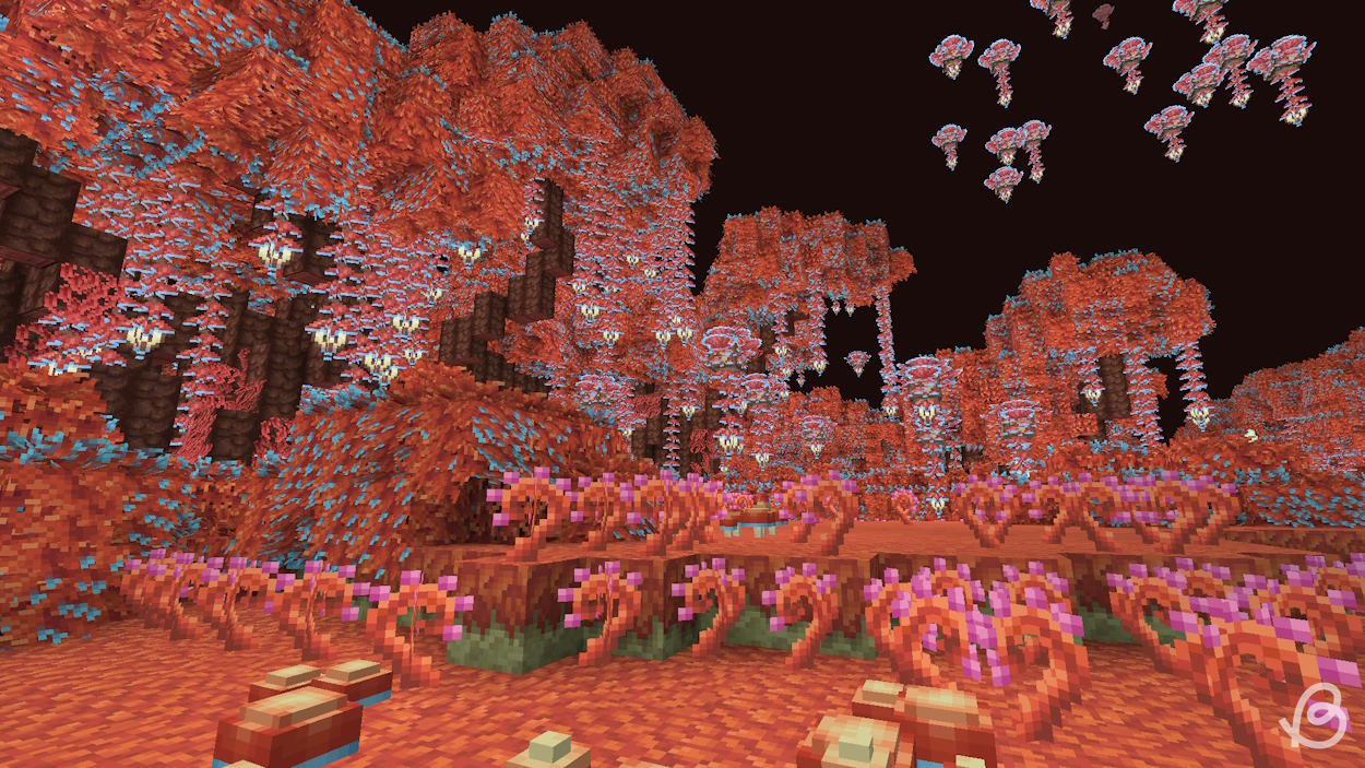 Orange biome in the BetterEnd mod which should be in the End update