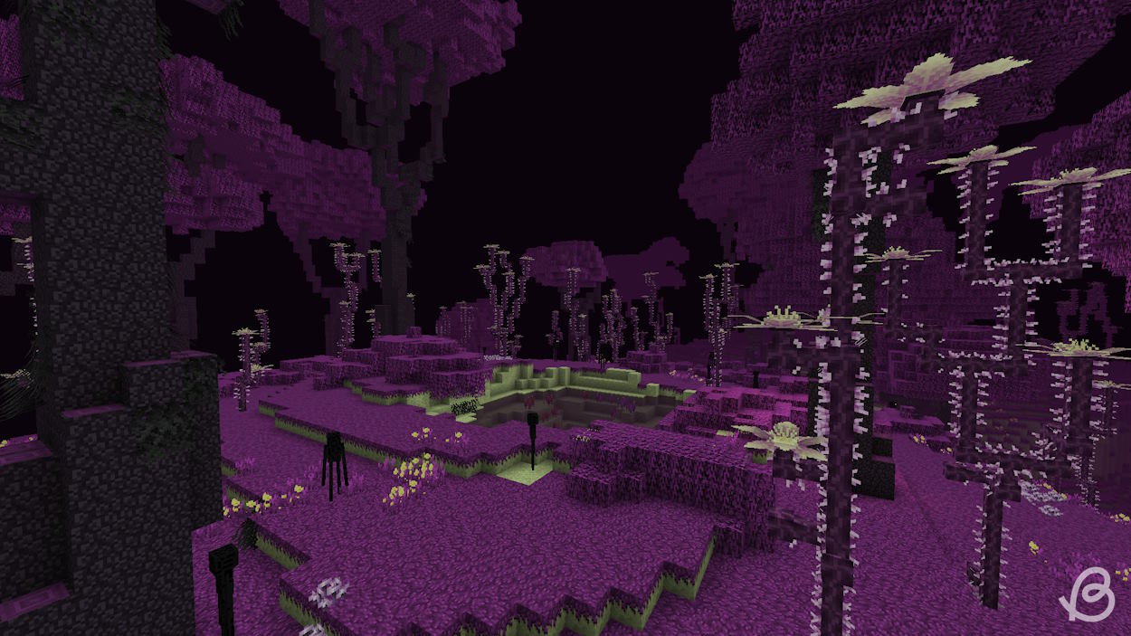 Purple biome in the BetterEnd mod