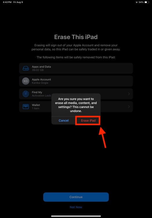 Factory Reset iPad