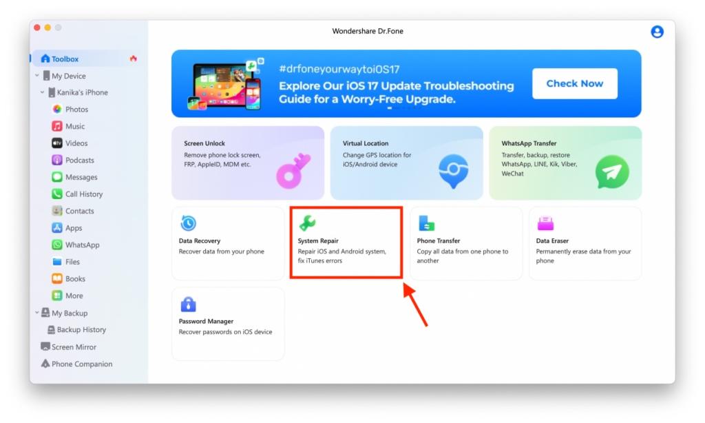 Fix iOS 18 Bugs with System Repair Tool DR Fone