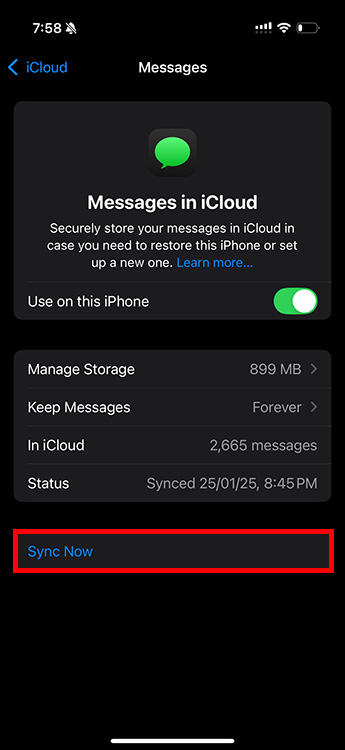 Manually enable sync for iMessages in iCloud settings on iPhone