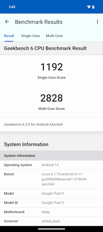 Pixel 9 Geekbench 6