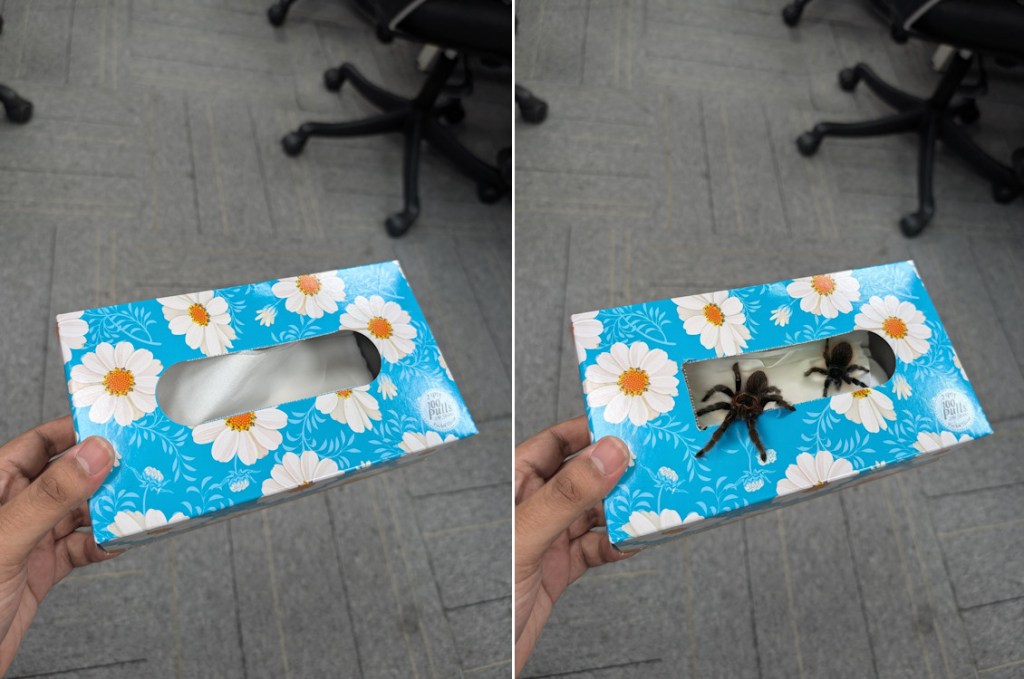 Spider Pixel Reimagine before and after