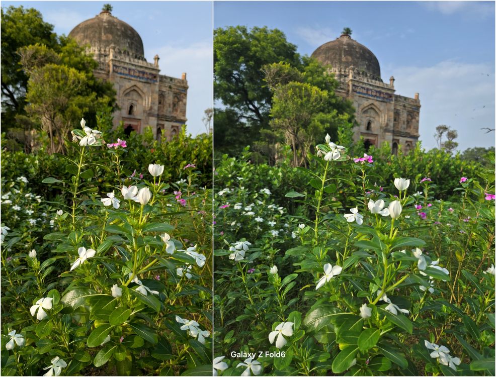 Pixel 9 Pro Fold vs Samsung Galaxy Z Fold 6: fotografías a la luz del día 4