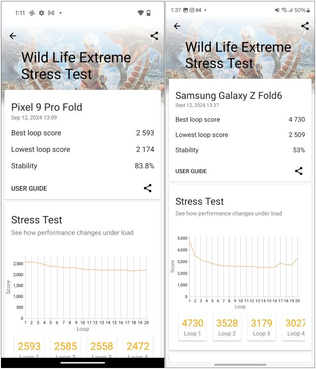 Pixel 9 Pro XL vs Samsung Galaxy Z Fold 6 Wildlife Extreme