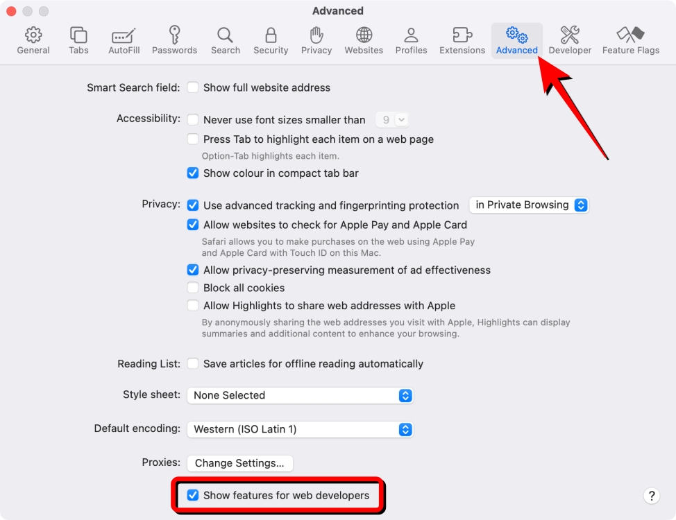 Enable Show features for web developers on Safari Settings
