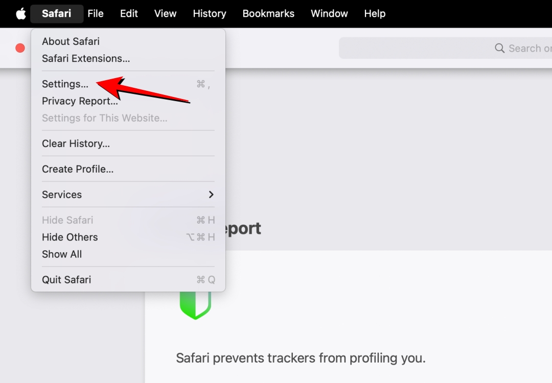 Click on Settings from Safari Menu Bar