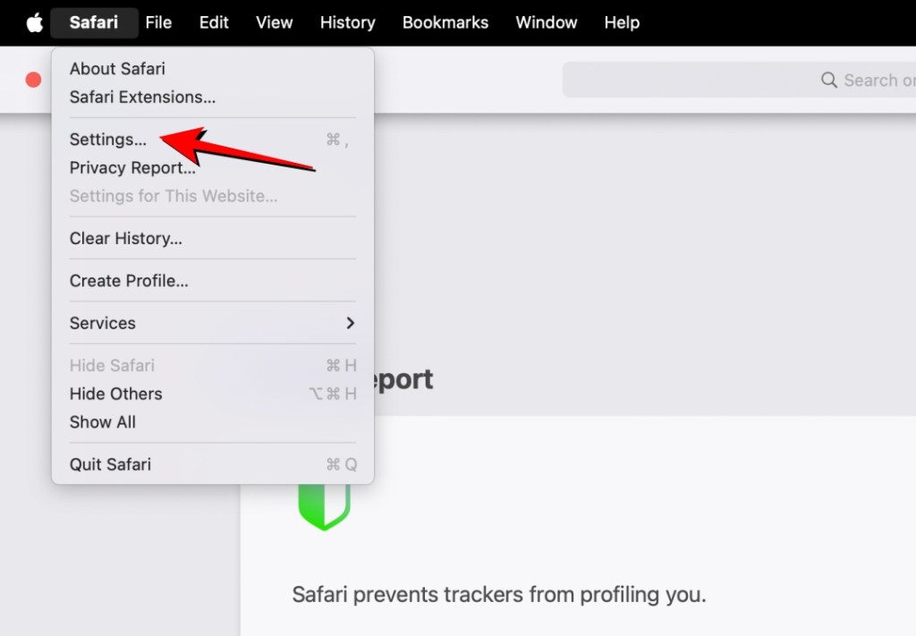 Click on Settings from Safari Menu Bar