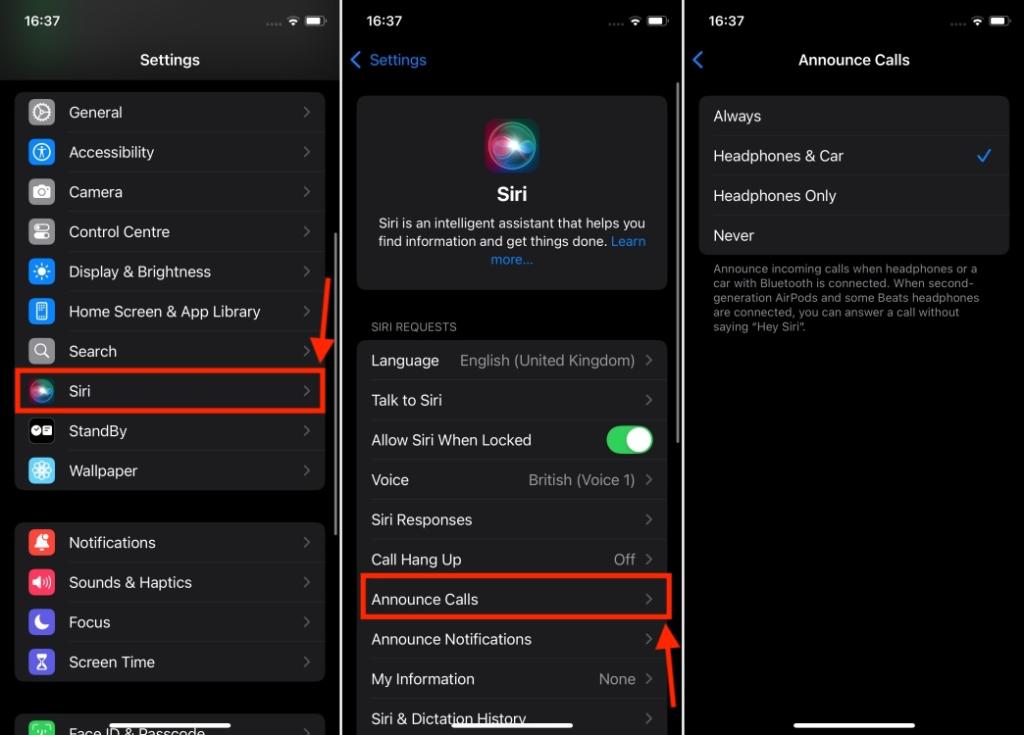 Enable Announce Calls in Siri Settings