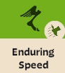 Enduring Speed Deadlock