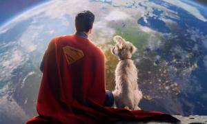 Superman Movie to Feature Krypto the Superdog, Confirms James Gunn