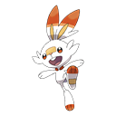 Scorbunny