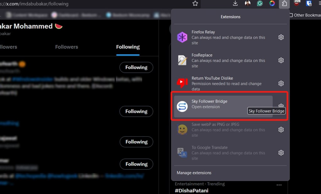 Extension tab opened with Sky Follower Bridge Highlighted