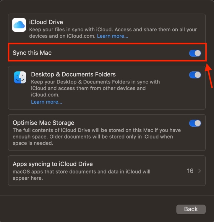 Turn ON iCloud Drive Sync on Mac