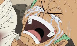 One Piece Anime Goes On a Shockingly Long Hiatus