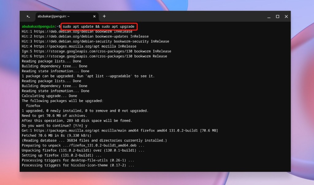 sudo apt update and upgrade ChromeOS flatpak