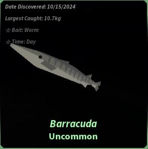 How to Catch Barracuda In Fisch Roblox