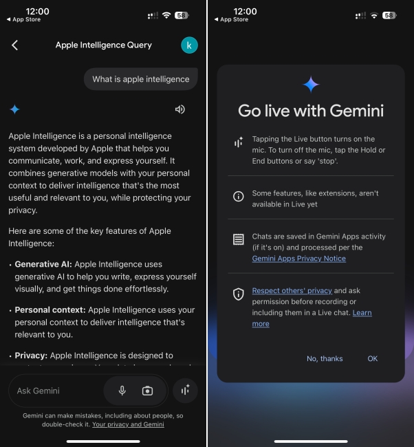 Google Gemini AI app for iPhone