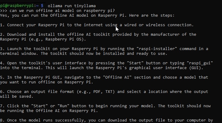 running tinyllama on raspberry pi