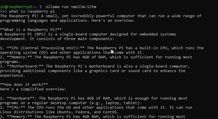 smollm running on raspberry pi