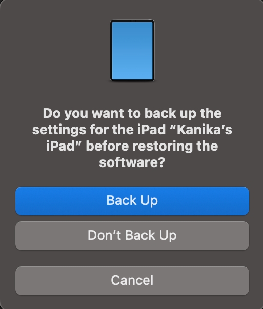 Back Up iPad while resetting