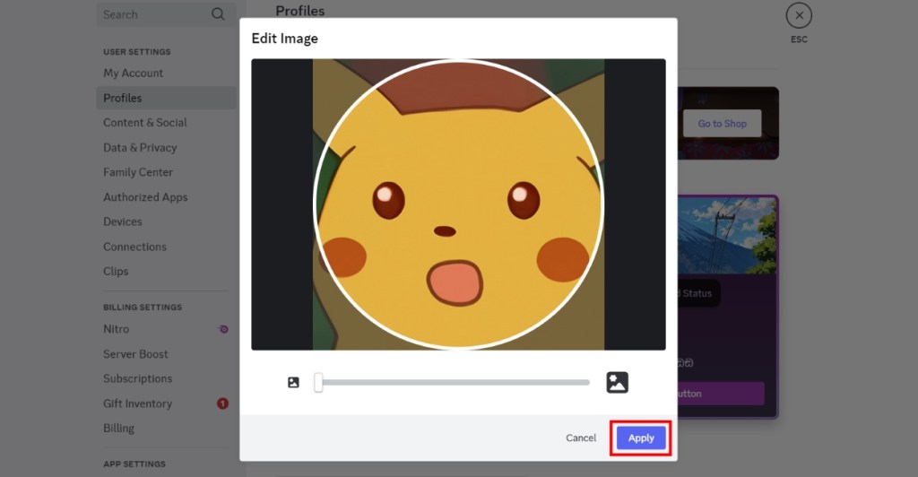 Edit Profile Picture Discord