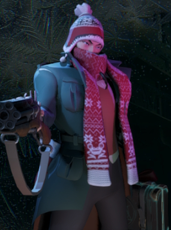 Pocket winter skin