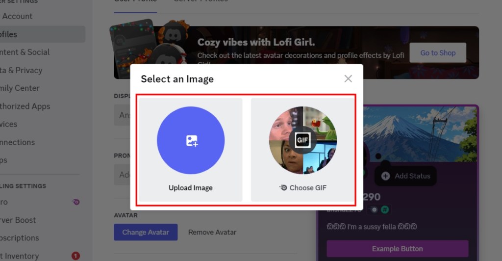 Select Image Discord