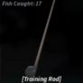 Training Rod