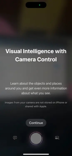 Visual Intelligence - Apple