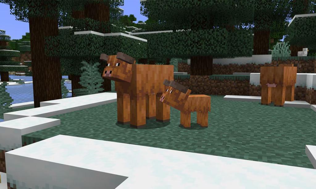 Cold Cows Minecraft