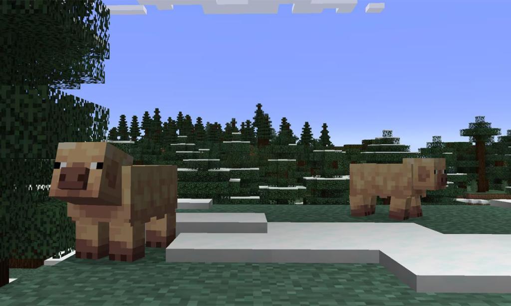 Cold Pigs Minecraft