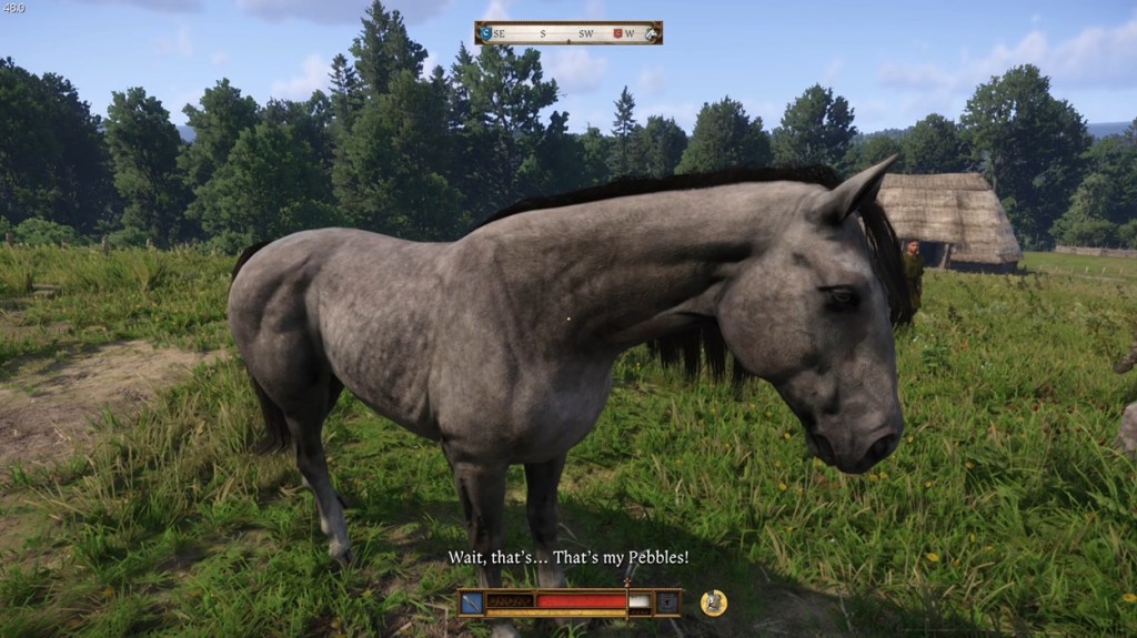 Find Pebbles in Kingdom Come Deliverance 2