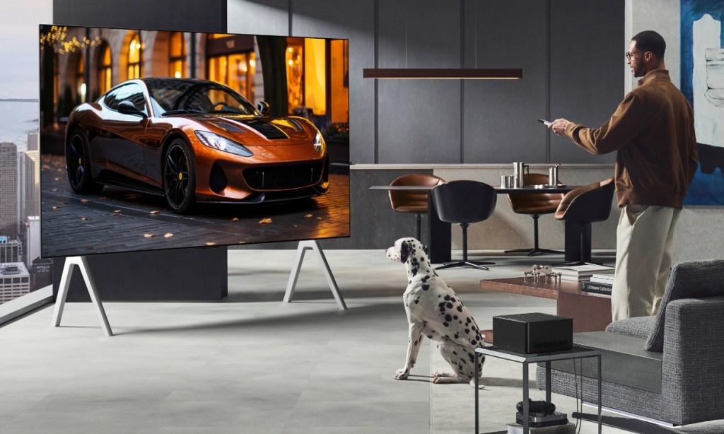 Dog and owner watching on LG OLED a McLaren-esque Car